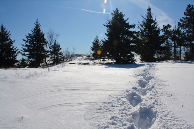 Photo_1.jpg